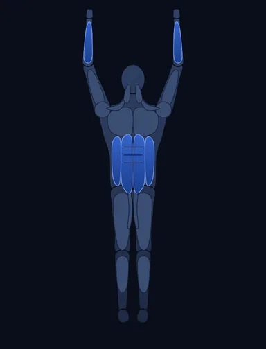 Band Assisted Pull-Up, start position, with the working muscles highlighted