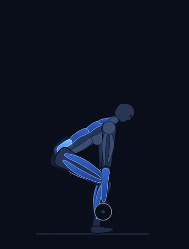 Barbell Deadlift, start position, with the working muscles highlighted