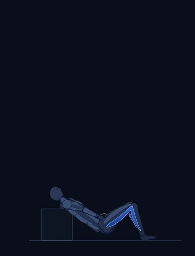 Barbell Hip Thrust, start position, with the working muscles highlighted