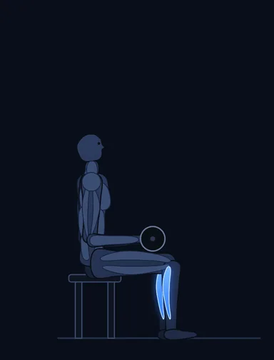 Barbell Seated Calf Raise, start position, with the working muscles highlighted