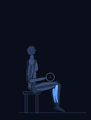 Barbell Seated Calf Raise, finish position, with the working muscles highlighted