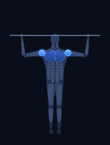 Barbell Shoulder Press, start position, with the working muscles highlighted