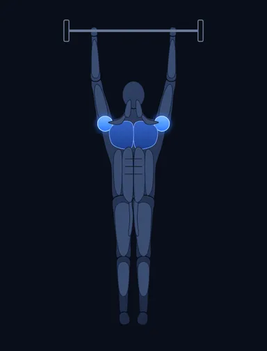 Barbell Shoulder Press, finish position, with the working muscles highlighted