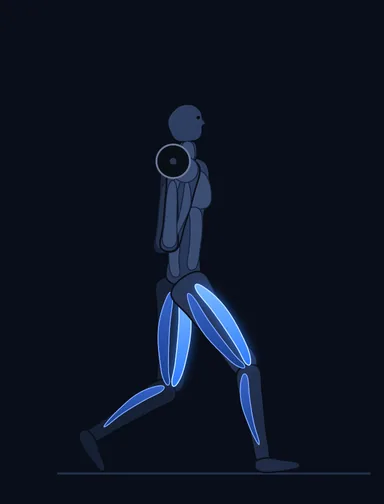 Barbell Walking Lunge, start position, with the working muscles highlighted