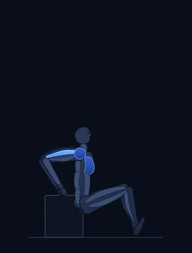 Bench Dips, finish position, with the working muscles highlighted