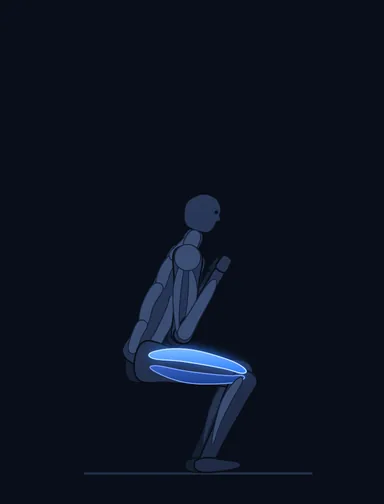 Bodyweight Squat, finish position, with the working muscles highlighted