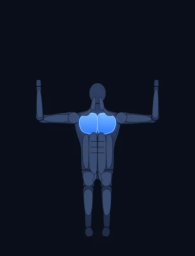 Butterfly, start position, with the working muscles highlighted