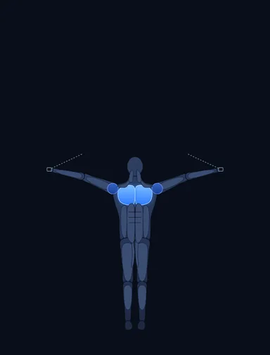 Cable Crossover, start position, with the working muscles highlighted