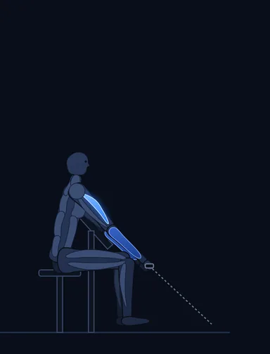 Cable Preacher Curl, start position, with the working muscles highlighted