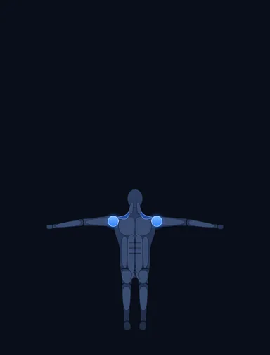 Cable Seated Lateral Raise, finish position, with the working muscles highlighted