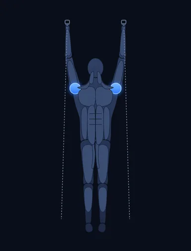 Cable Shoulder Press, finish position, with the working muscles highlighted