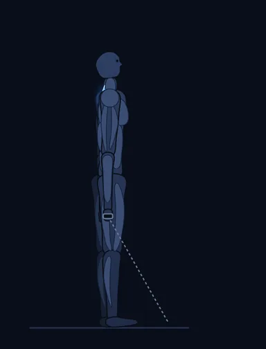 Cable Shrugs, start position, with the working muscles highlighted