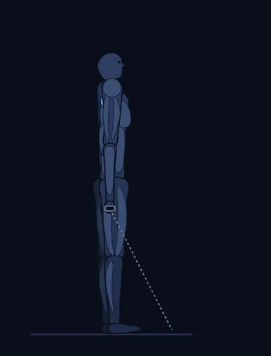 Cable Shrugs, finish position, with the working muscles highlighted