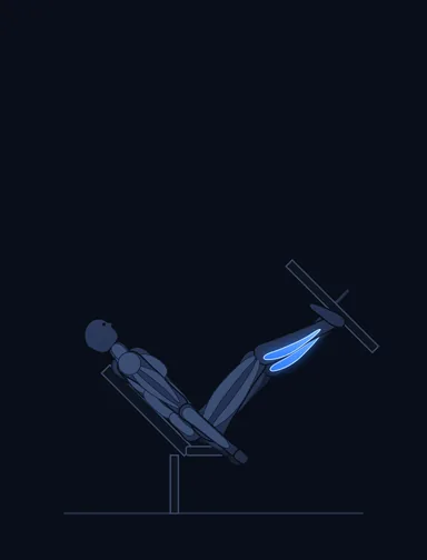 Calf Press on the Leg Press Machine, start position, with the working muscles highlighted