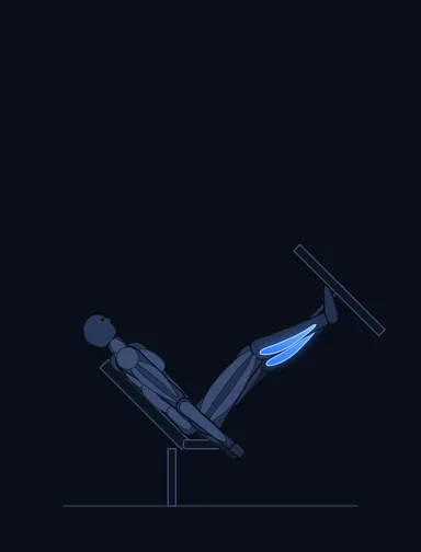 Calf Press on the Leg Press Machine, finish position, with the working muscles highlighted