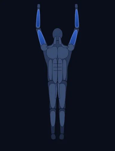 Chin-Up, start position, with the working muscles highlighted