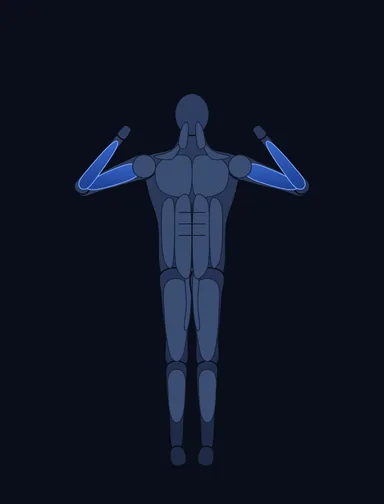 Chin-Up, finish position, with the working muscles highlighted