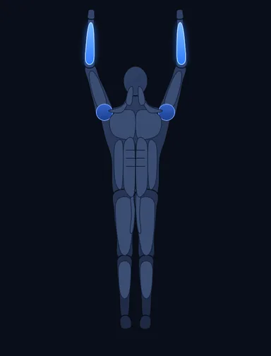 Dead Hang, start position, with the working muscles highlighted