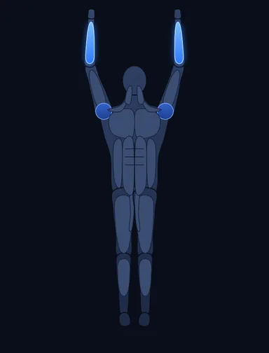 Dead Hang, finish position, with the working muscles highlighted