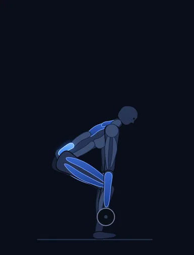 Deadlift with Chains, start position, with the working muscles highlighted