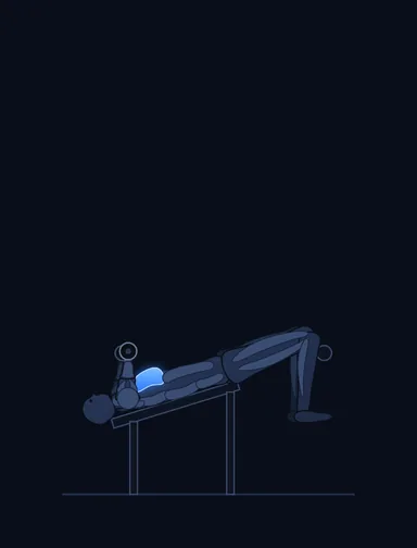 Decline Dumbbell Flyes, start position, with the working muscles highlighted