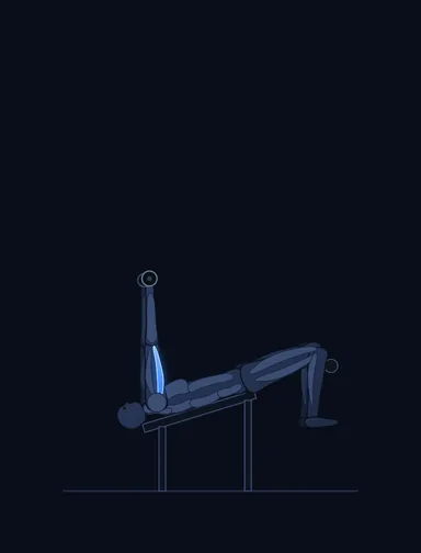Decline Dumbbell Triceps Extension, start position, with the working muscles highlighted