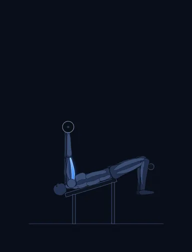 Decline EZ Bar Triceps Extension, start position, with the working muscles highlighted