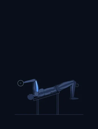 Decline EZ Bar Triceps Extension, finish position, with the working muscles highlighted