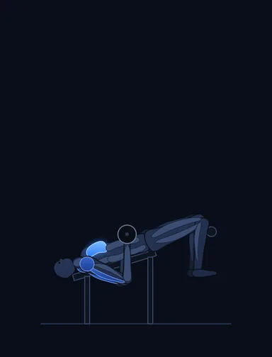 Decline Smith Press, start position, with the working muscles highlighted