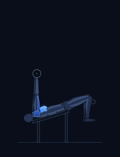 Decline Smith Press, finish position, with the working muscles highlighted