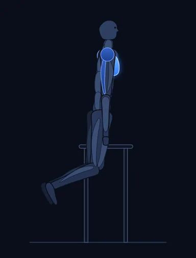 Dips - Chest Version, start position, with the working muscles highlighted