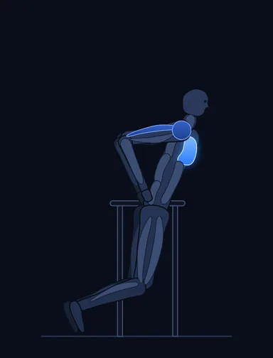 Dips - Chest Version, finish position, with the working muscles highlighted