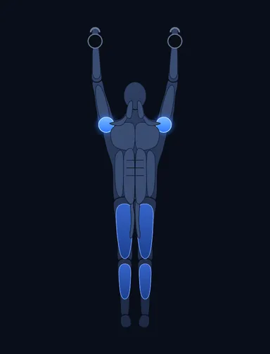 Double Kettlebell Push Press, finish position, with the working muscles highlighted