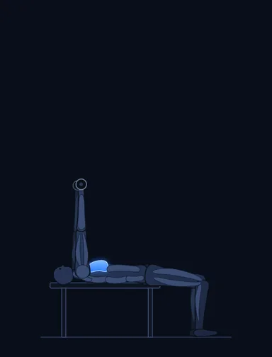 Dumbbell Flyes, finish position, with the working muscles highlighted