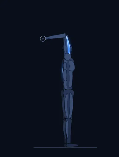Dumbbell One-Arm Triceps Extension, start position, with the working muscles highlighted