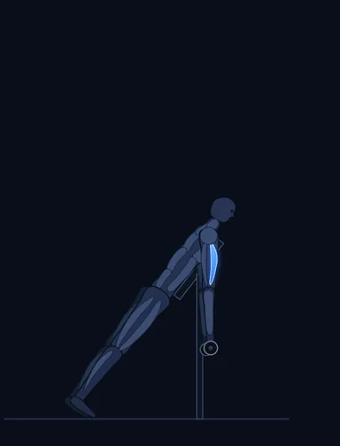 Dumbbell Prone Incline Curl, start position, with the working muscles highlighted