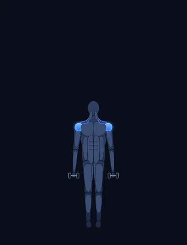 Dumbbell Scaption, start position, with the working muscles highlighted