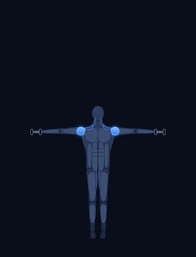 Dumbbell Scaption, finish position, with the working muscles highlighted