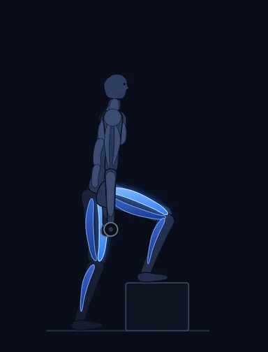 Dumbbell Step Ups, start position, with the working muscles highlighted