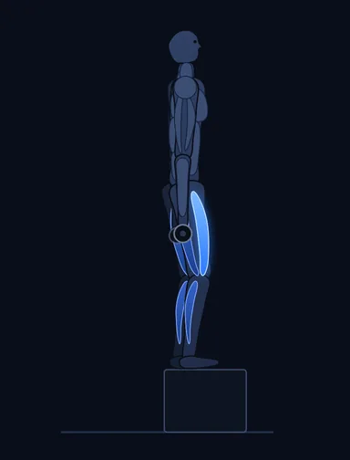 Dumbbell Step Ups, finish position, with the working muscles highlighted