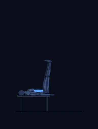 Flat Bench Lying Leg Raise, finish position, with the working muscles highlighted