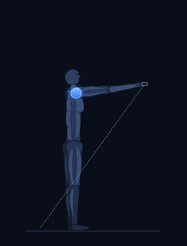 Front Cable Raise, finish position, with the working muscles highlighted