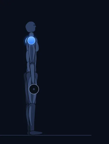 Front Plate Raise, start position, with the working muscles highlighted
