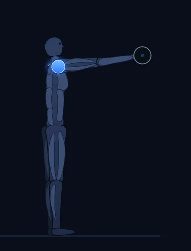 Front Plate Raise, finish position, with the working muscles highlighted