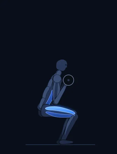 Front Squat (Clean Grip), finish position, with the working muscles highlighted
