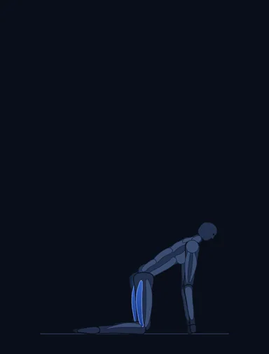 Glute Kickback, start position, with the working muscles highlighted