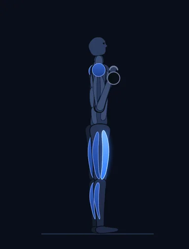 Goblet Squat, start position, with the working muscles highlighted