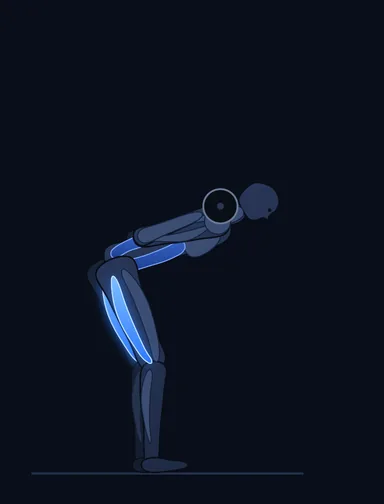 Good Morning, finish position, with the working muscles highlighted