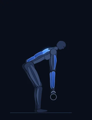 Gorilla Row, start position, with the working muscles highlighted