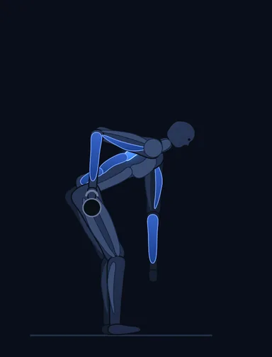 Gorilla Row, finish position, with the working muscles highlighted